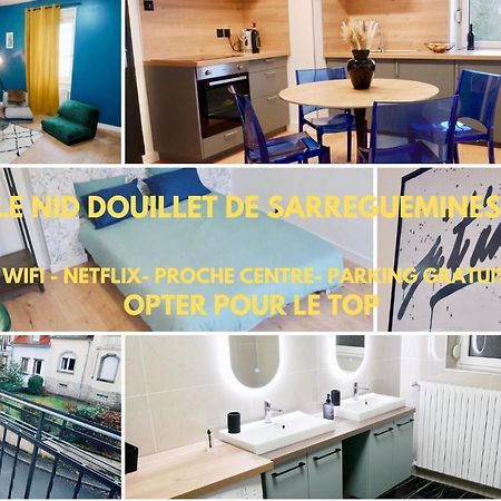 Appartamento Le Nid Douillet De Sarreguemines Esterno foto